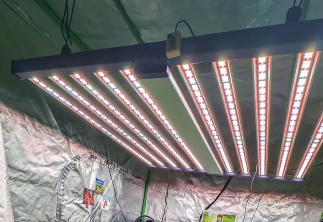 TOP ANGEBOT, LED Grow Panel mit 1000watt + LM301H EVO Mint White LEDs, einige Social Clubs nutzen aktuell das Panel und erzielen Top Ergebnisse, hat die Maße 112cm x 112cm