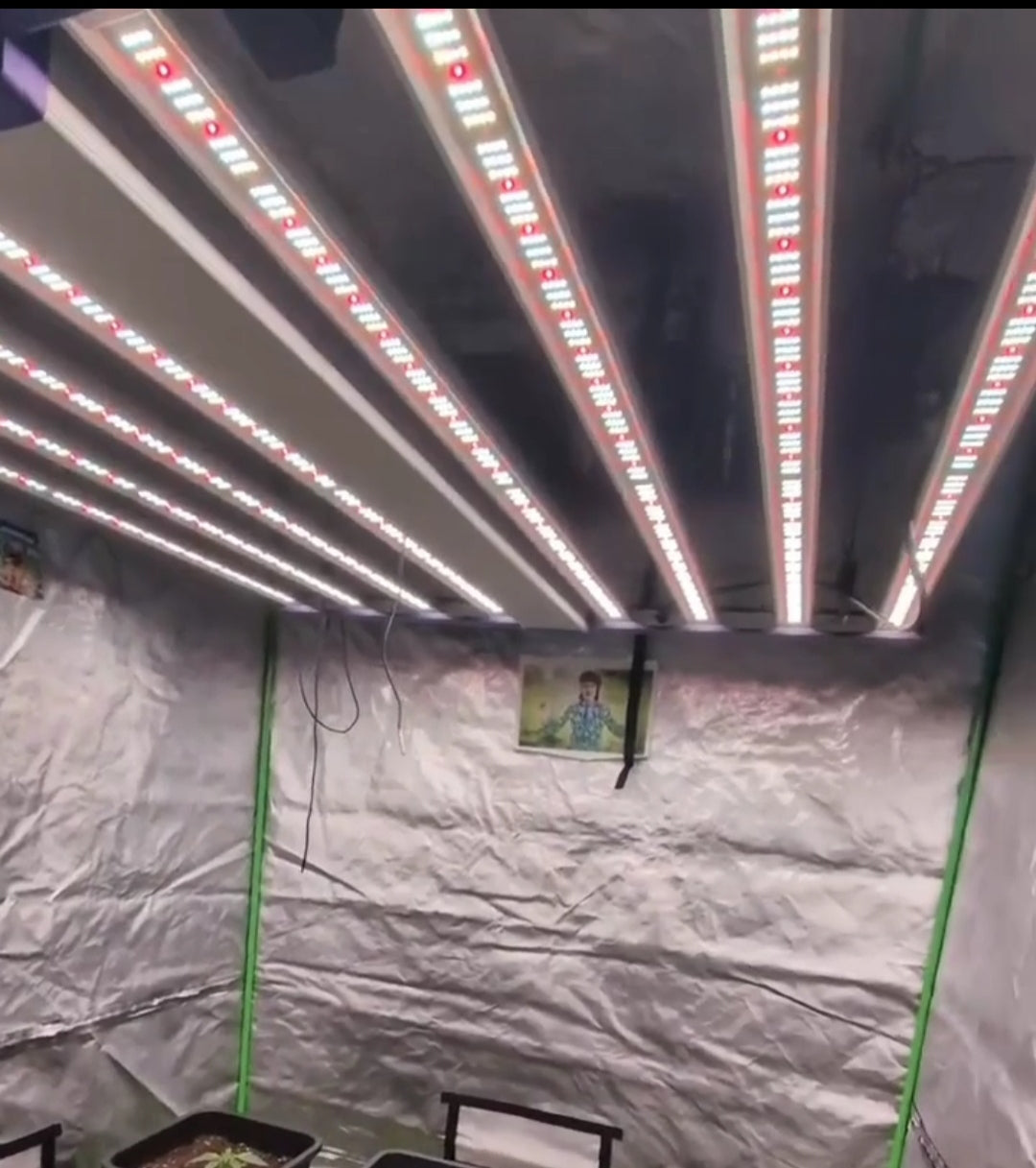 TOP ANGEBOT, LED Grow Panel mit 1000watt + LM301H EVO Mint White LEDs, einige Social Clubs nutzen aktuell das Panel und erzielen Top Ergebnisse, hat die Maße 112cm x 112cm