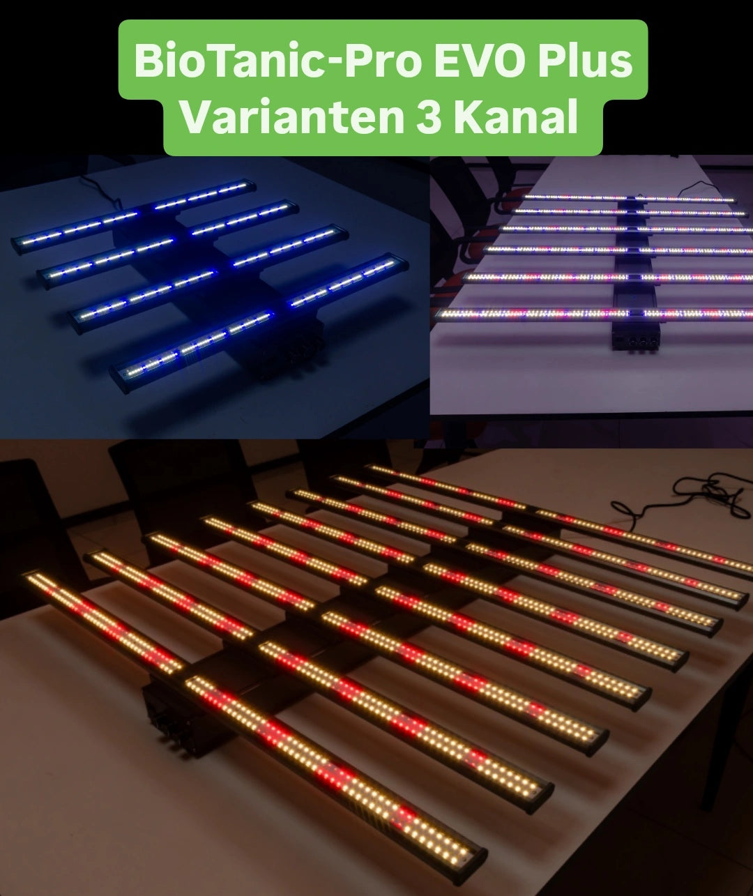 BioTanic-Pro EVO Plus