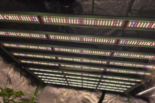 BioTanic-Pro BP1000, 3400 Samsung Dioden, 1000Watt 0-100% Regelbar, Full Spectrum, 105,5cm x 105cm x 3,5cm, LED Grow Lampe