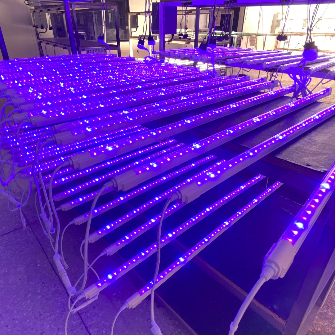 UV LED Zusatzleiste 60cm Länge 25w 395nm