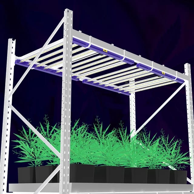 TOP ANGEBOT, LED Grow Panel mit 720watt + LM301H EVO LEDs, einige Social Clubs nutzen aktuell das Panel und erzielen Top Ergebnisse, hat die Maße 112cm x 112cm