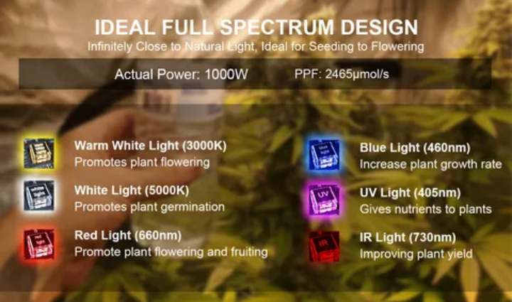 BioTanic-Pro BP800, 3072 Samsung Dioden, 800Watt 0-100% Regelbar, Full Spectrum, 105,5cm x 105cm x 3,5cm, LED Grow Lampe